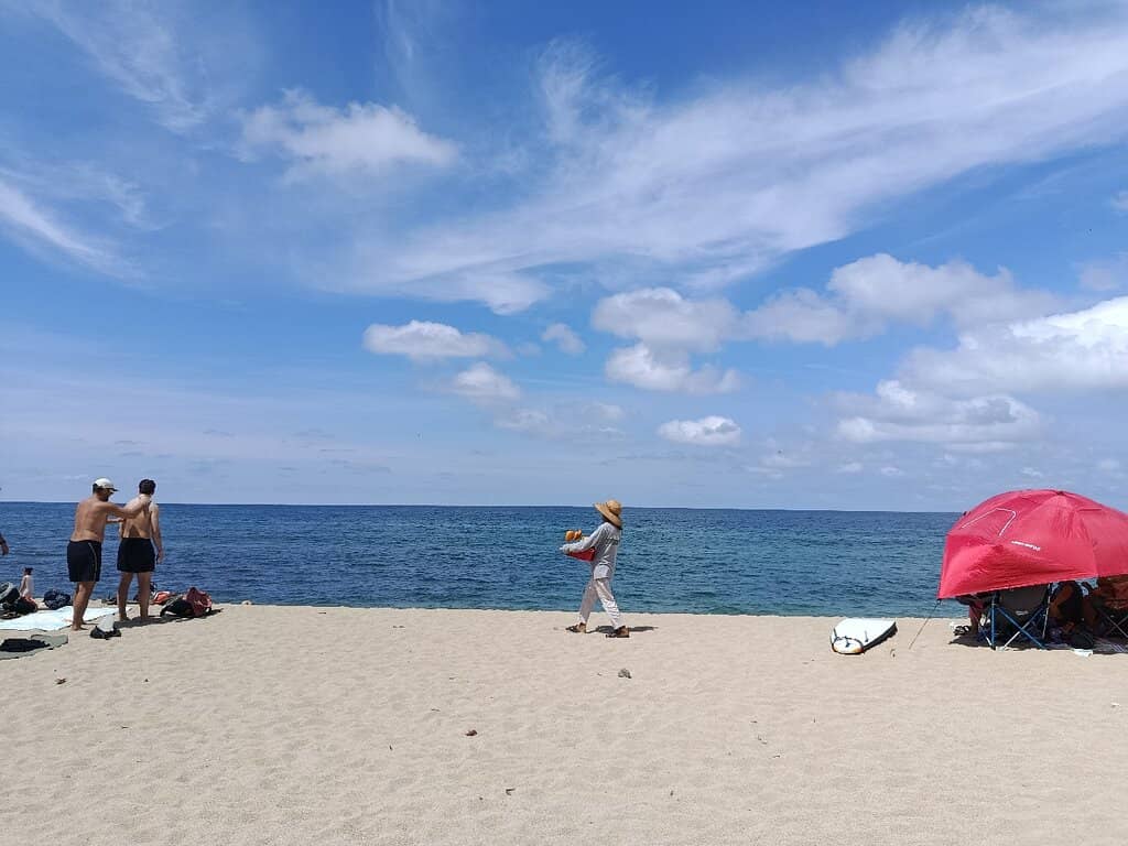 Surf Lessons