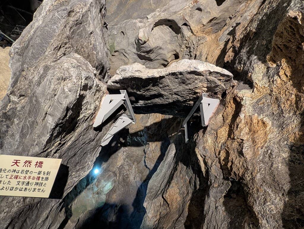 The Explorer Course Adventure