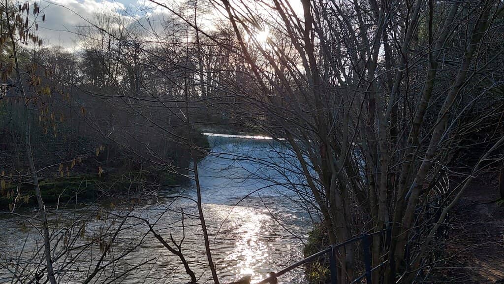 The Apprentice House