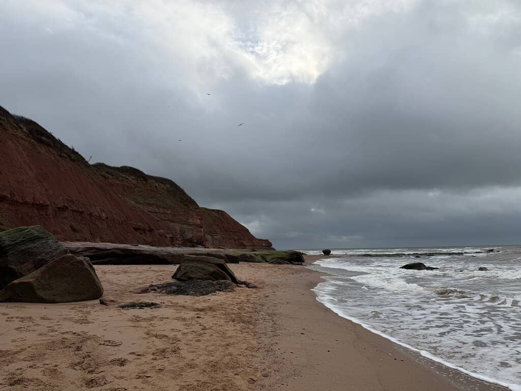 Expansive Sandy Shores