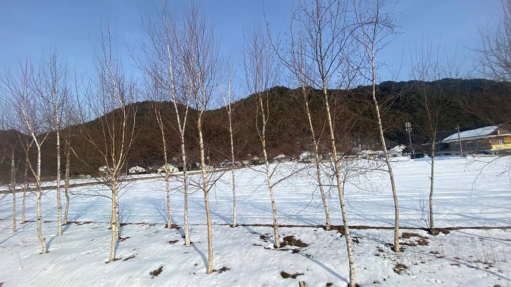 Temple History Exhibits