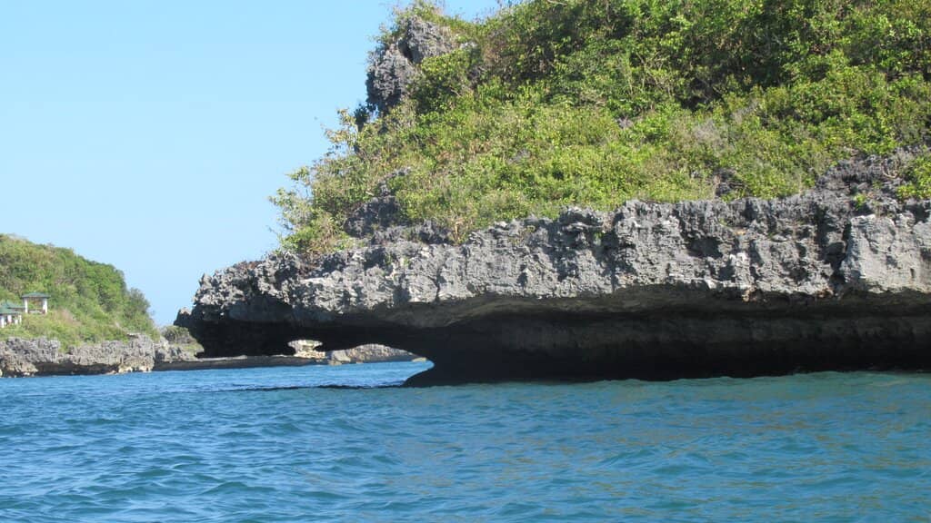 Snorkeling & Giant Clams
