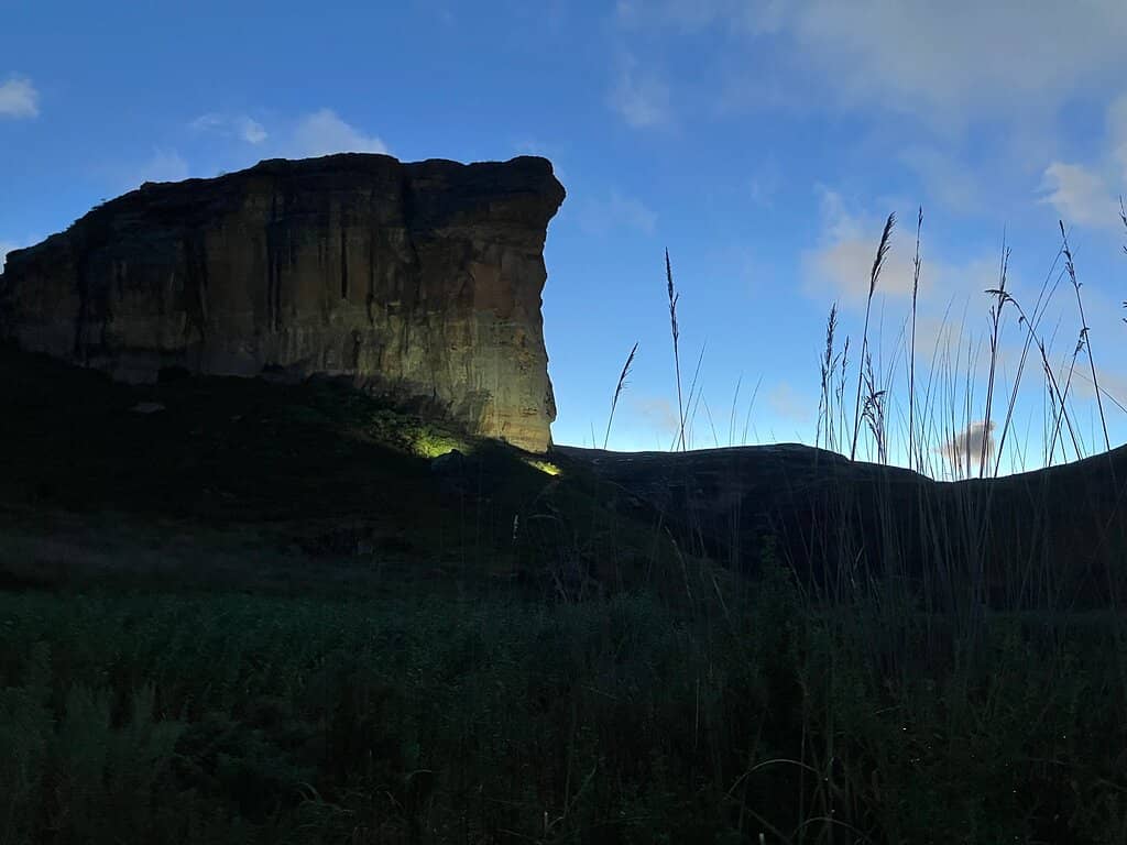 Vertical photo