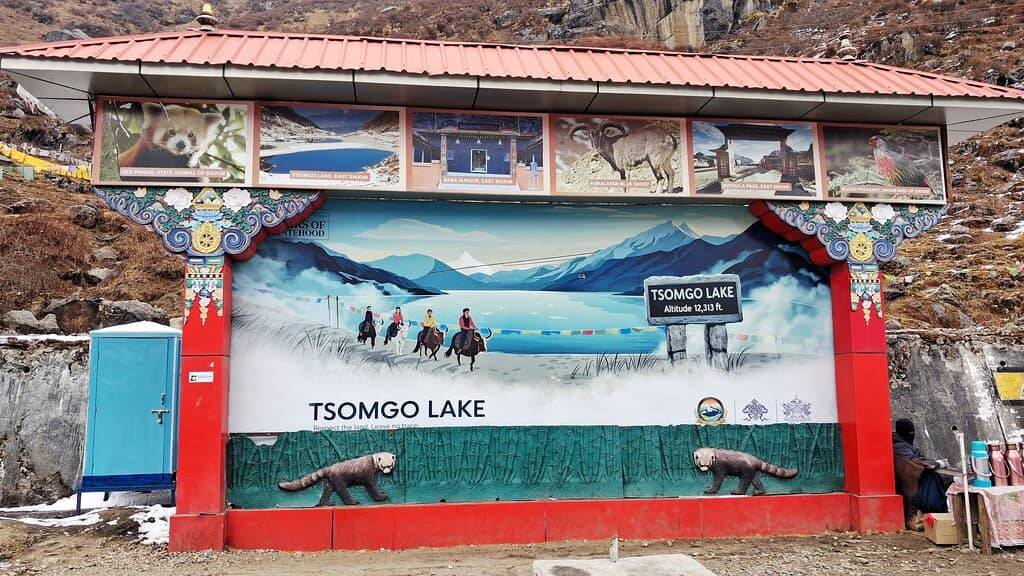 Yak Rides & Photo Ops