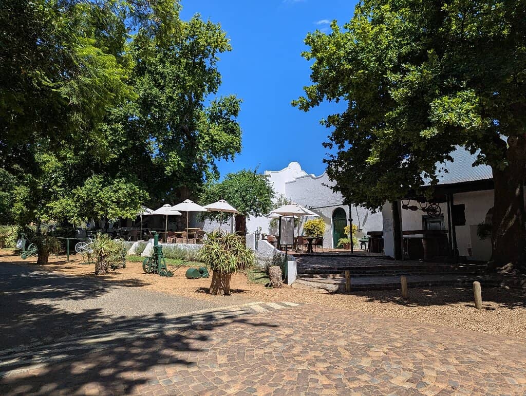 Award-Winning Wines