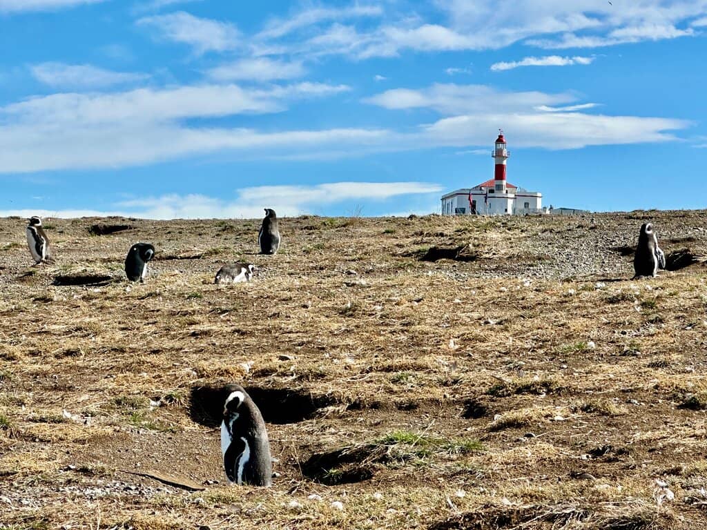 Strait of Magellan Crossing