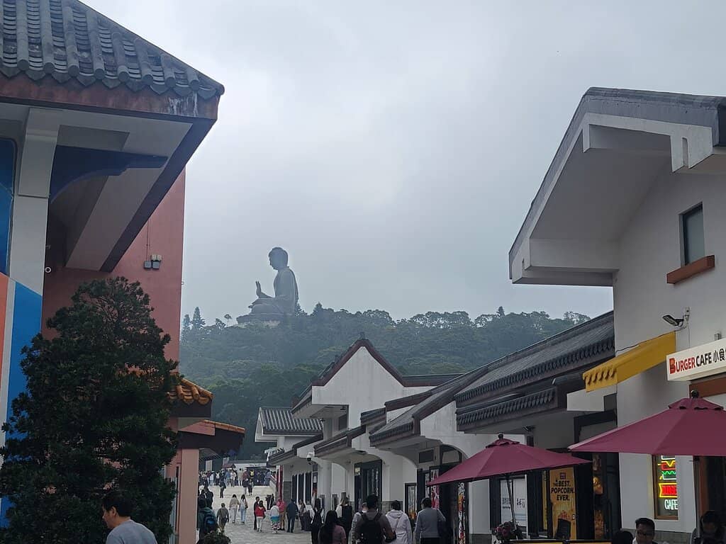 Vertical photo
