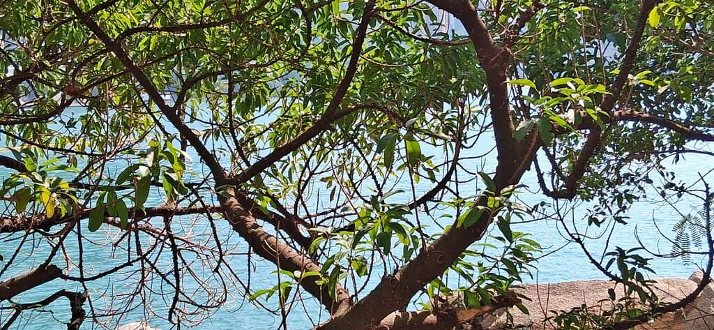 Vertical photo