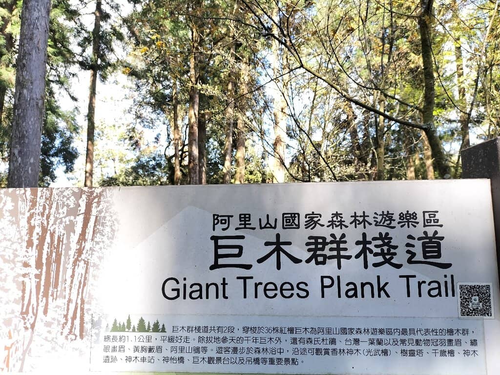 Three Generations Tree