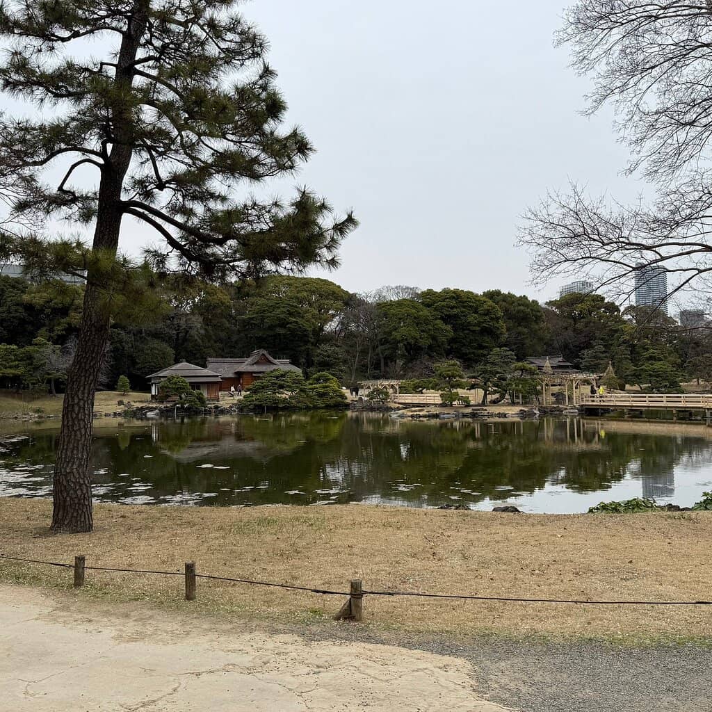 Sumida River Cruise