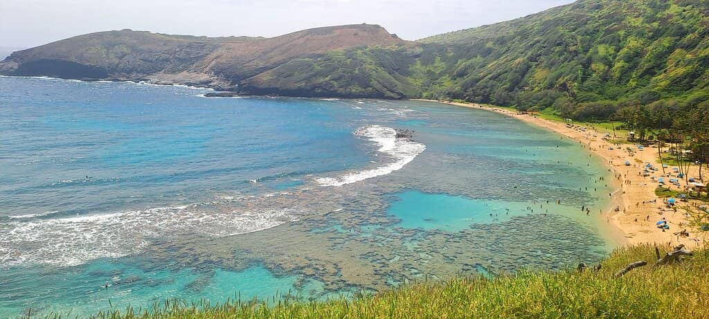 Abundant Marine Life