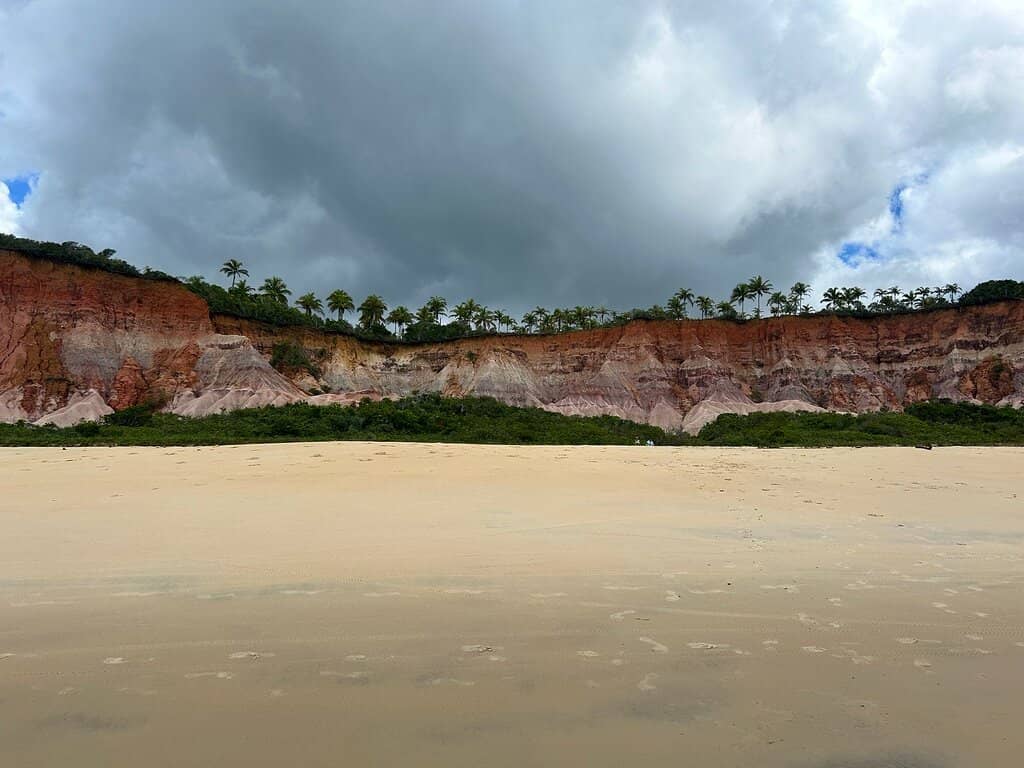 Cliffs and Jungle Scenery