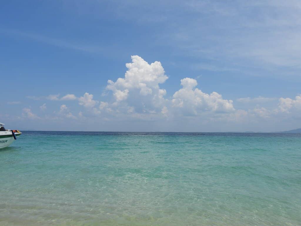 Vibrant Coral Reefs