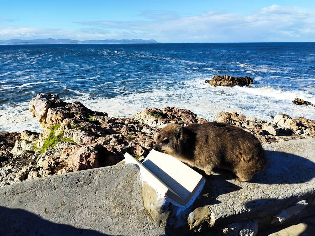 Fishing & Squid Angling