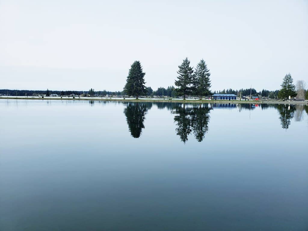 Family Picnic & BBQ Spots