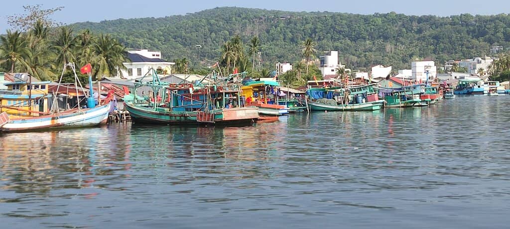 Fresh Seafood Galore
