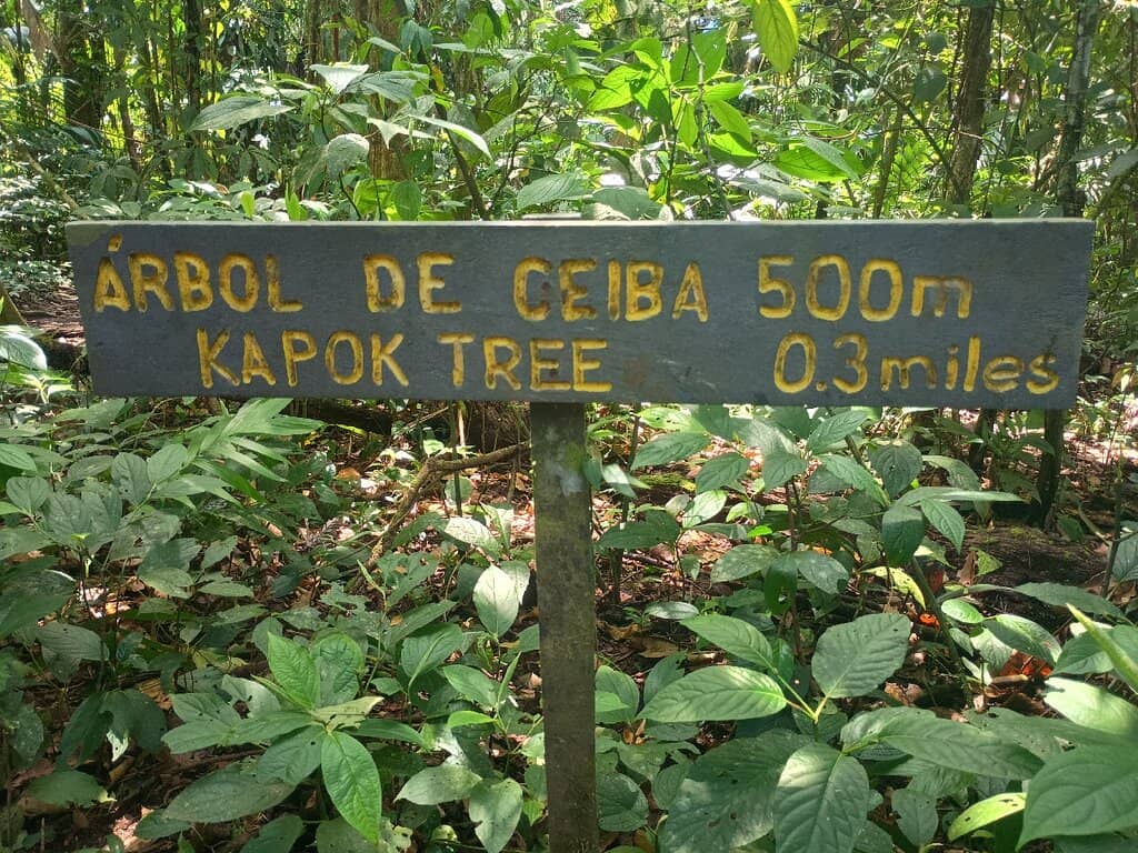 Arenal Volcano Summit Views