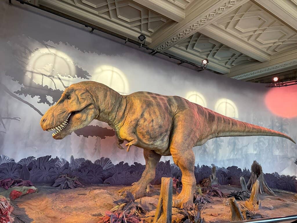 Dinosaur Exhibit