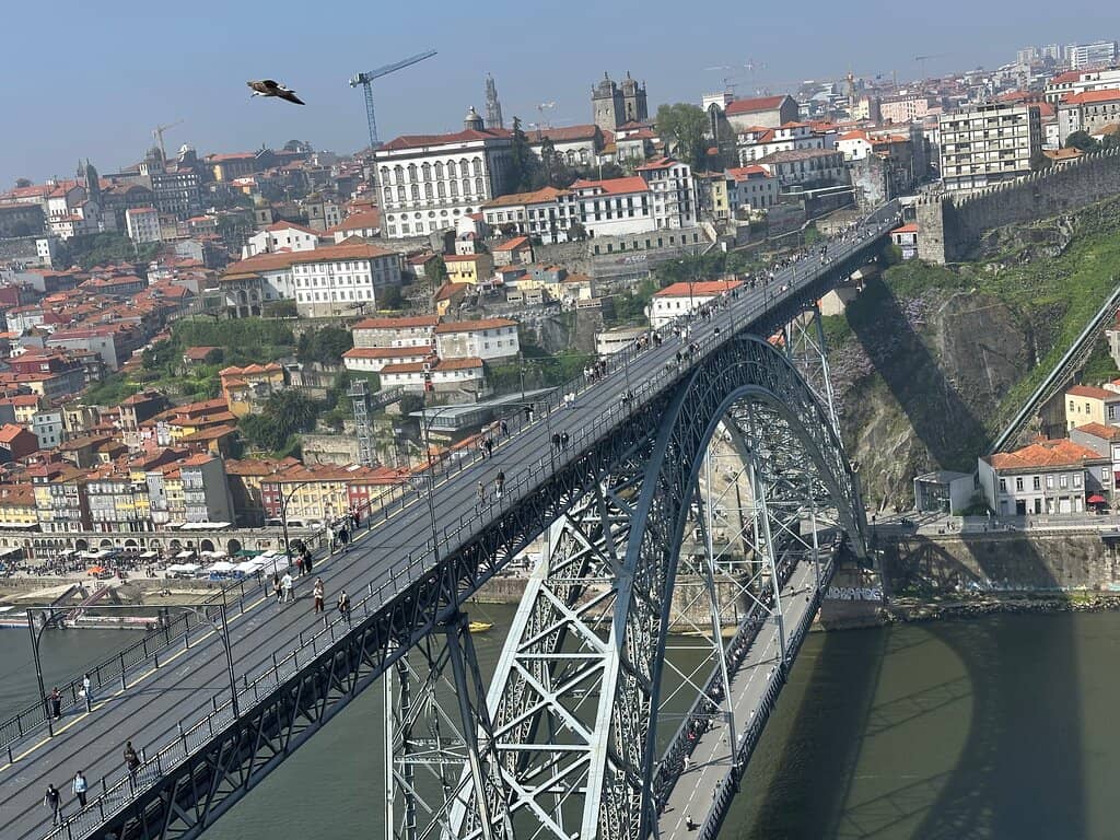 Vertical photo