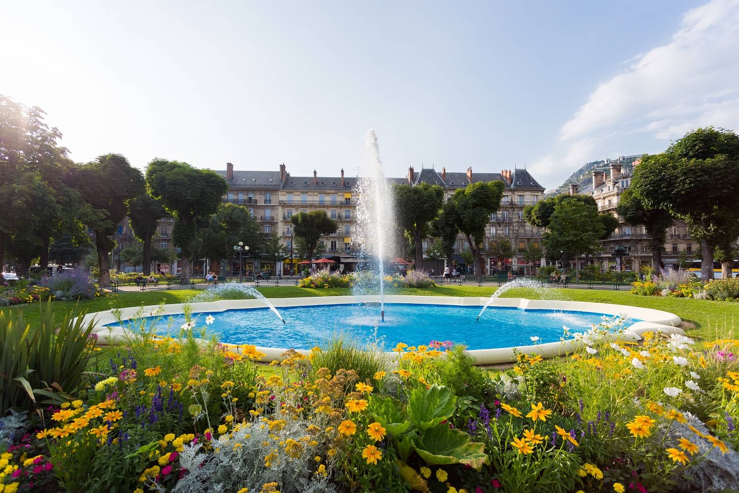 Grenoble's Heartbeat