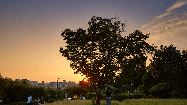 Saigoyama Park Views