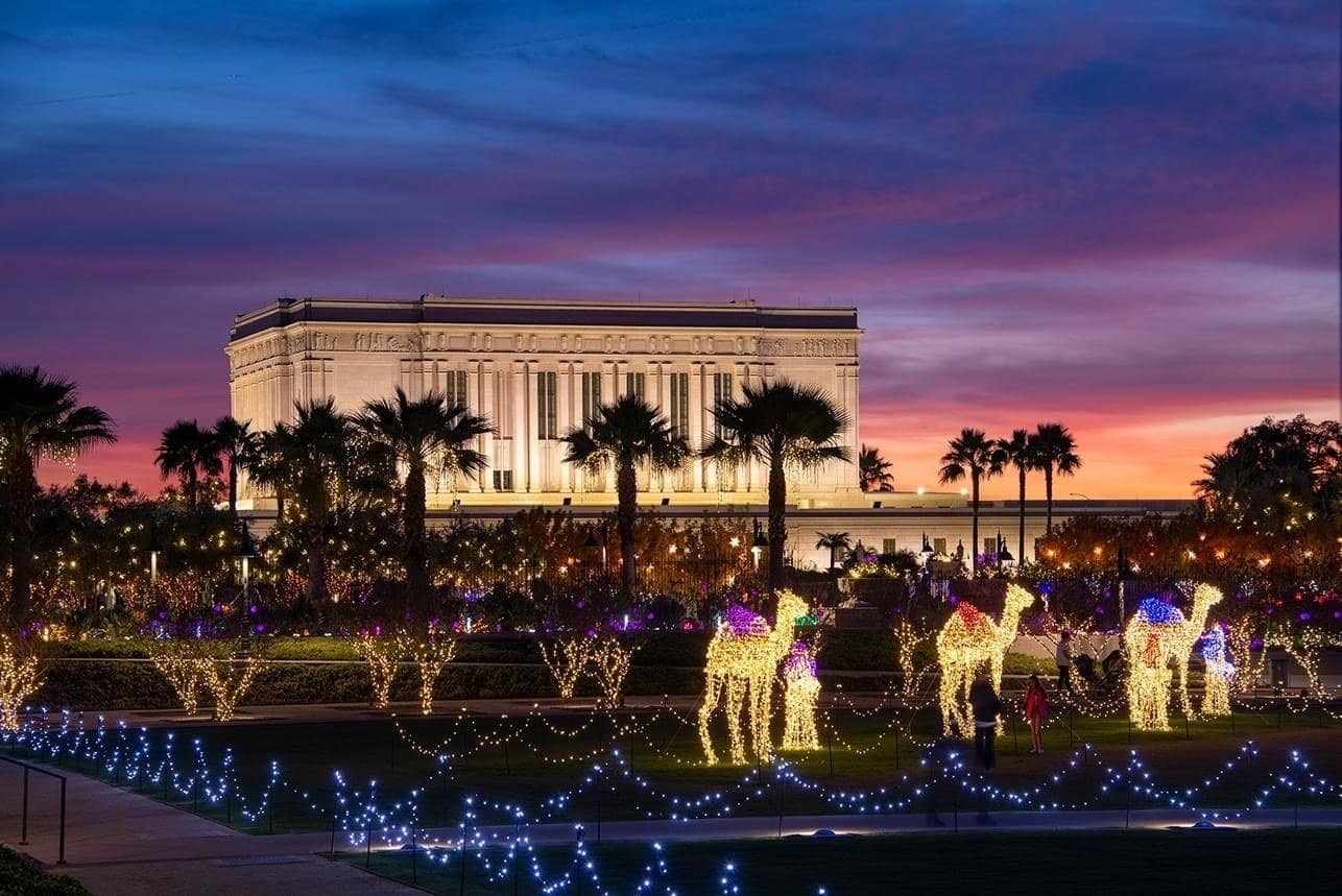 Christmas Lights Display