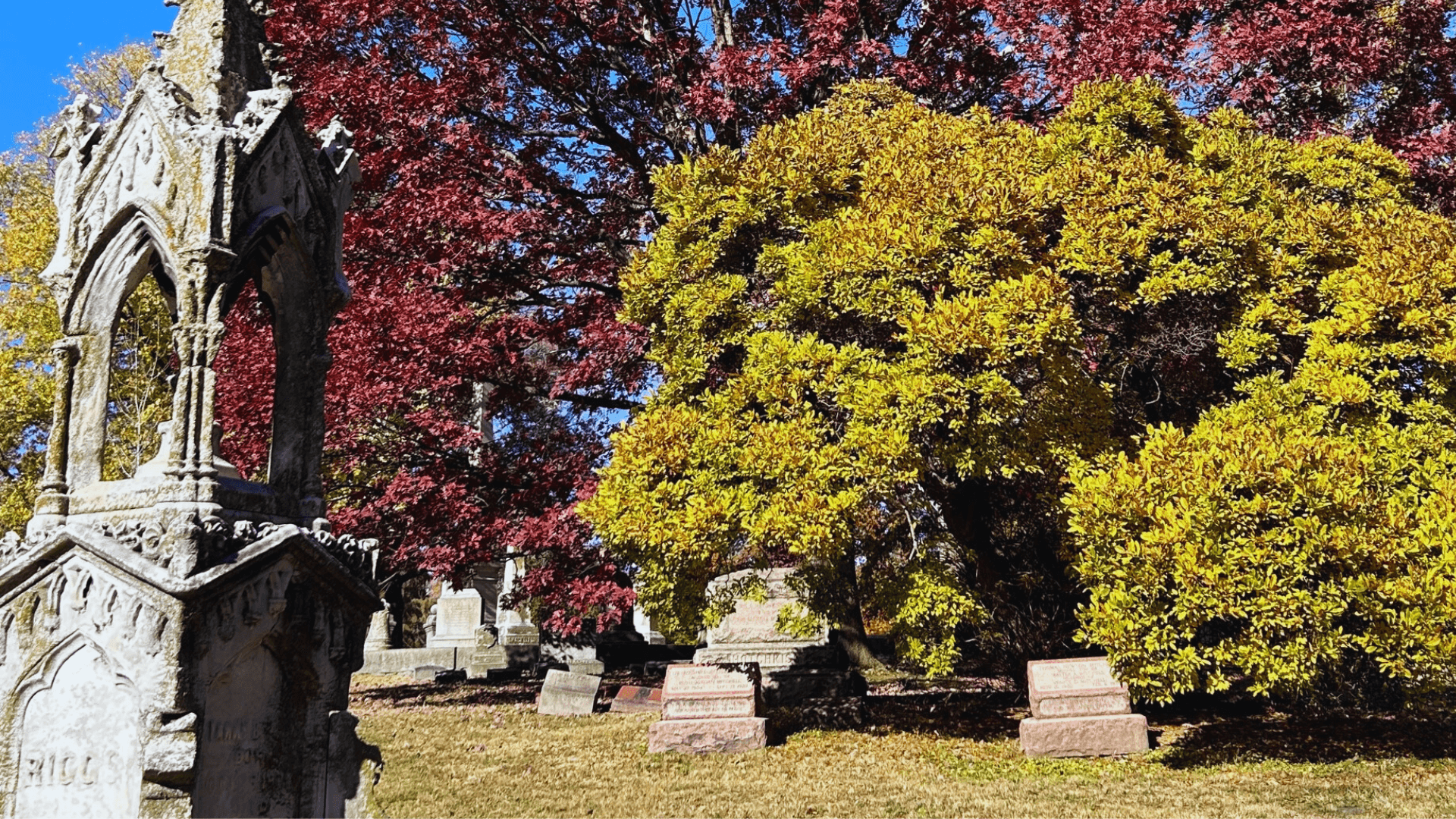 Stunning Fall Foliage