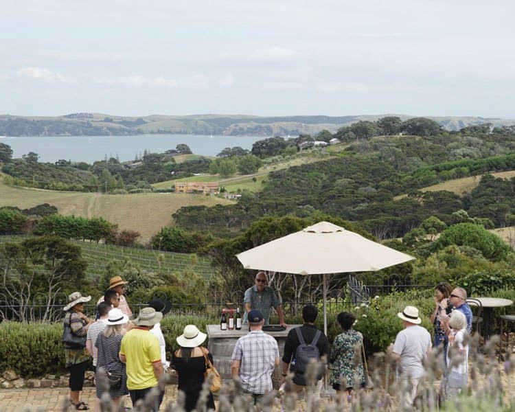 Winery Experiences