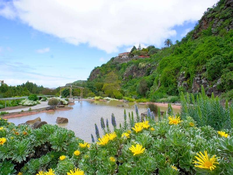 Jardín Canario (Botanical Garden)