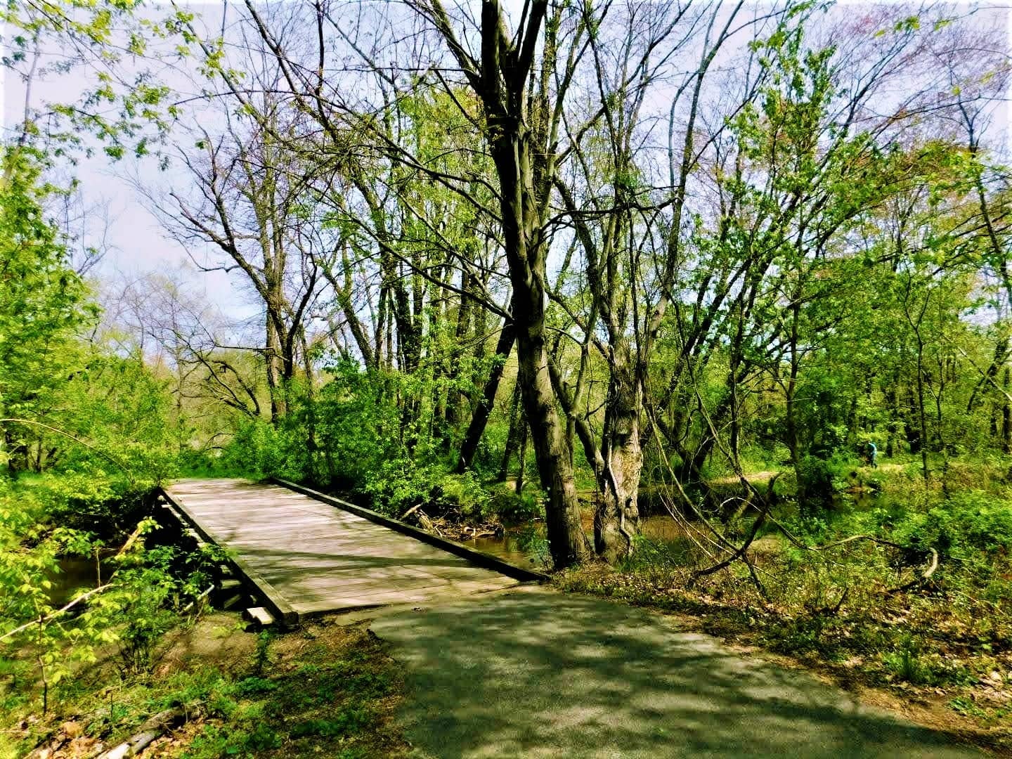 Peaceful Walking Trails
