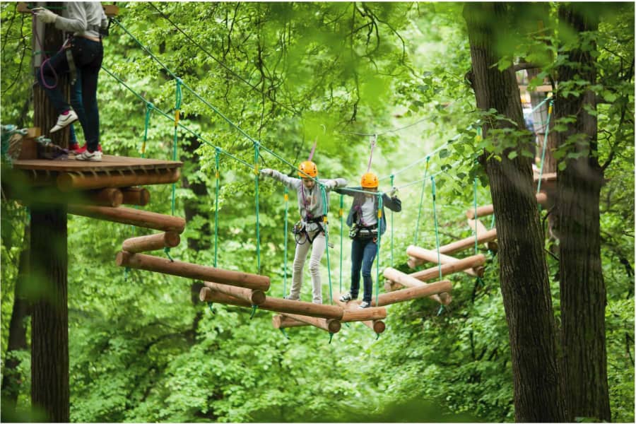 Adventure High Ropes Course