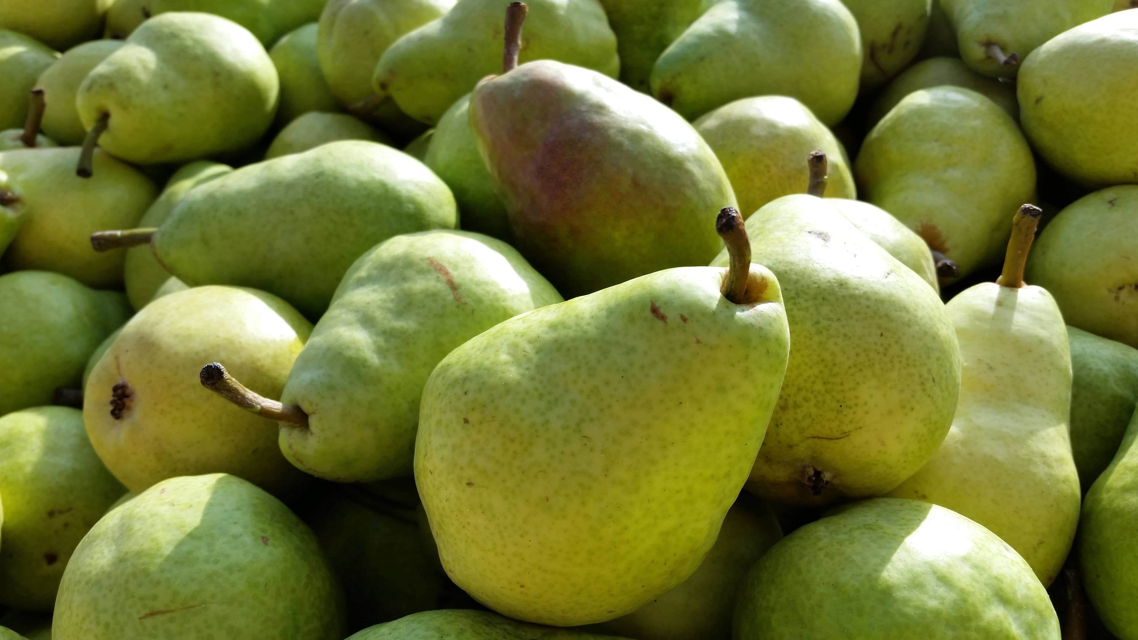 Seasonal Produce