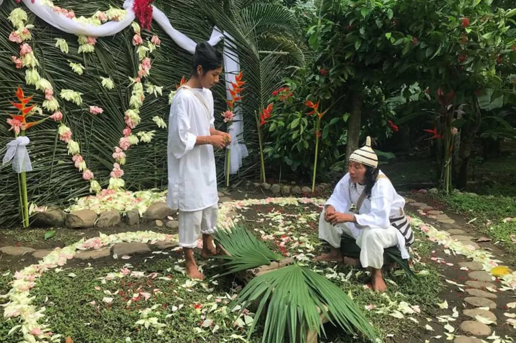 Sacred Poporo Ceremony Insights