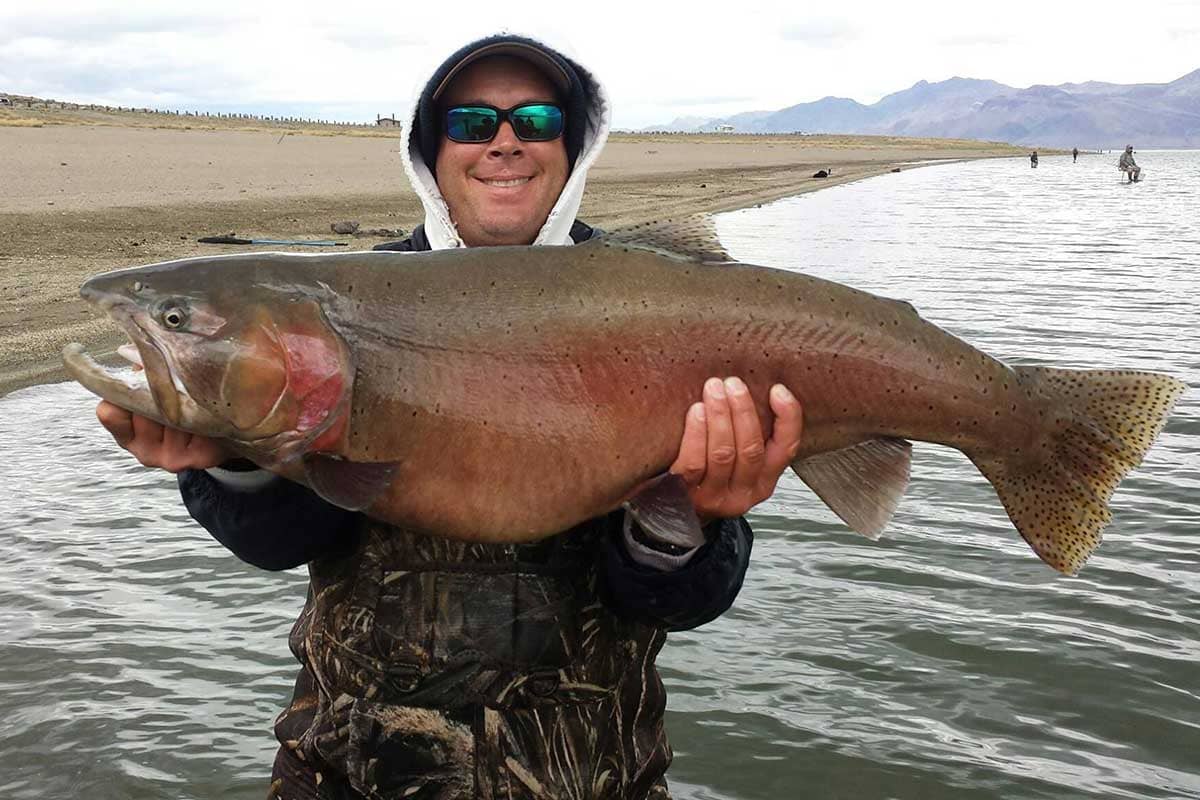 Lahontan Cutthroat Trout