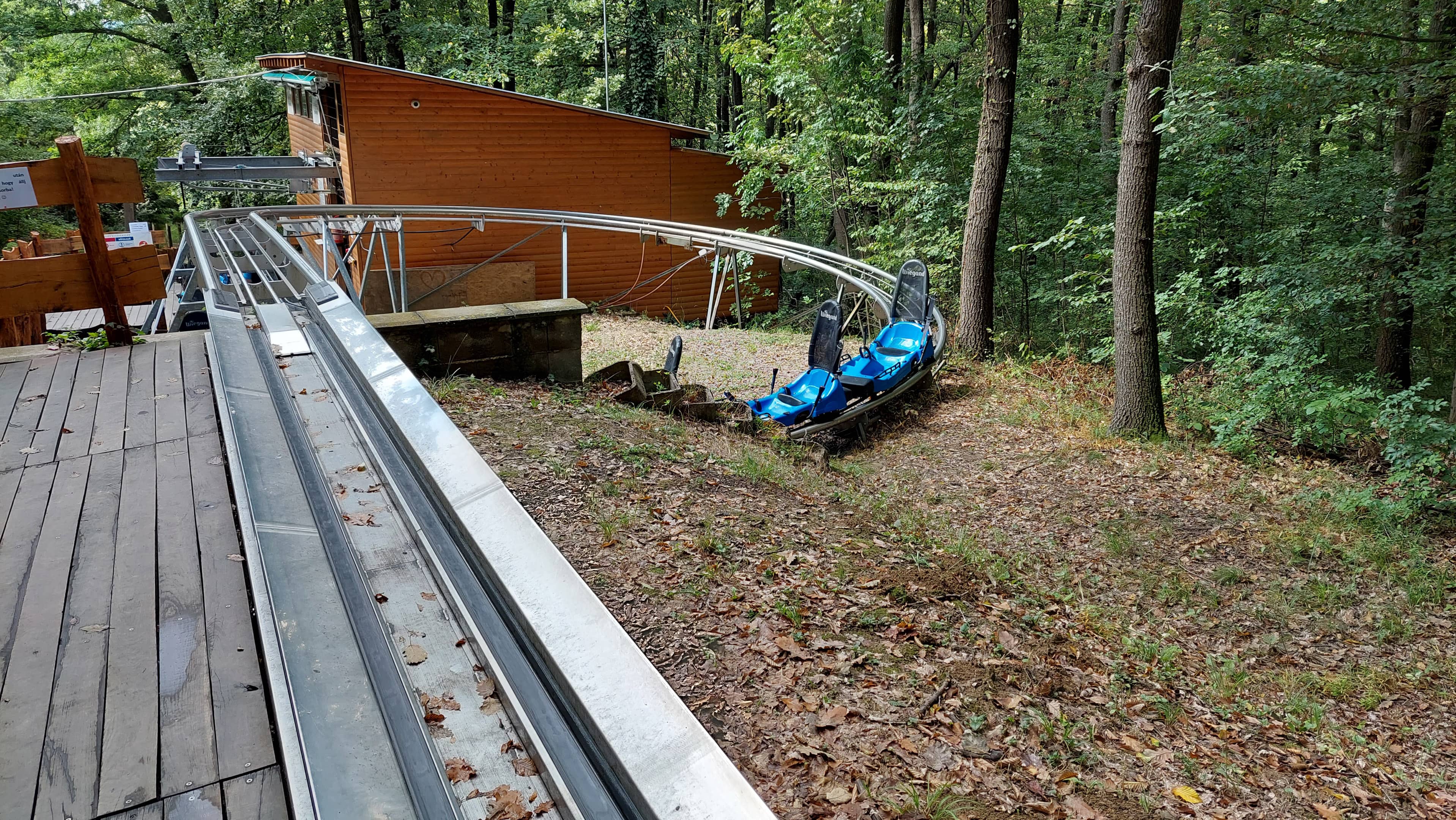 Forest Bob Track (Coaster)