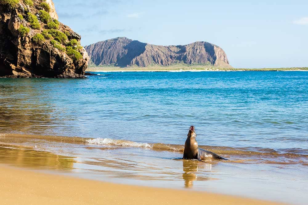 Snorkeling Opportunities