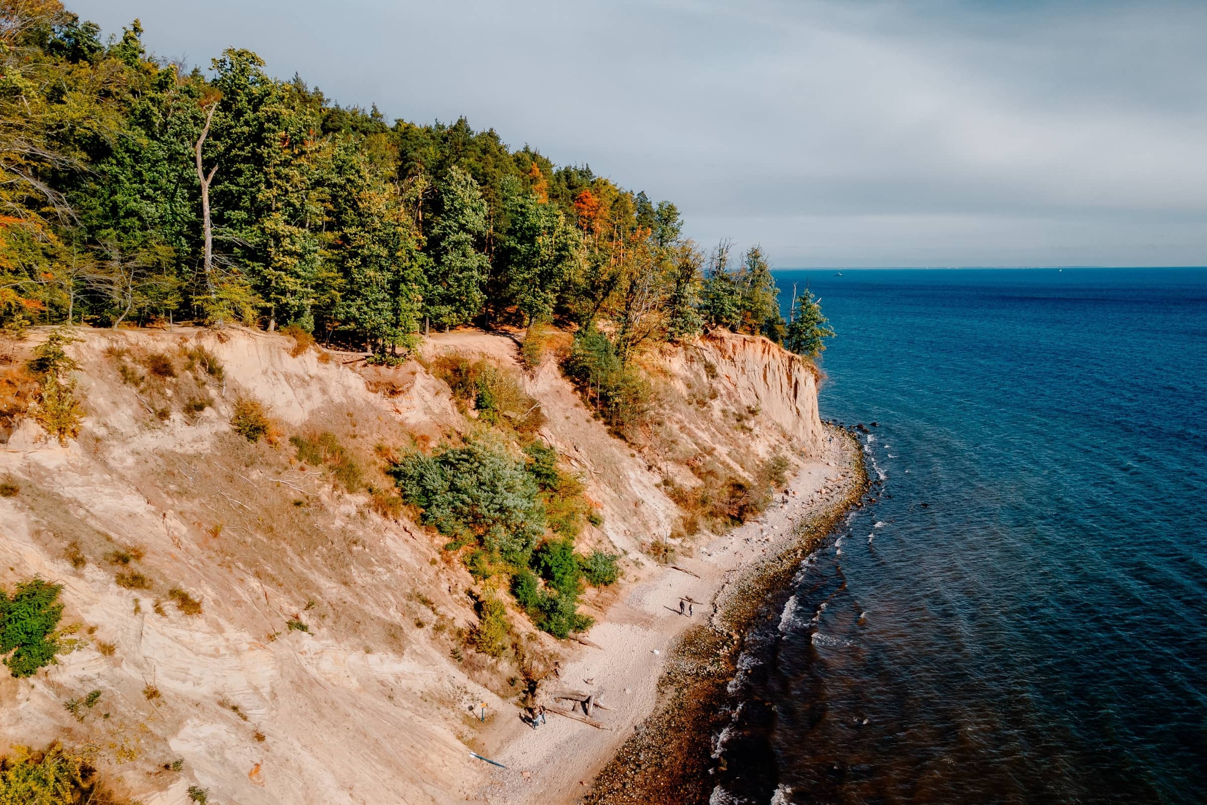 Forested Trails