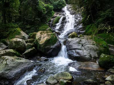 Maya Falls Connection