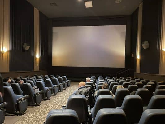 Manor Theatre Experience