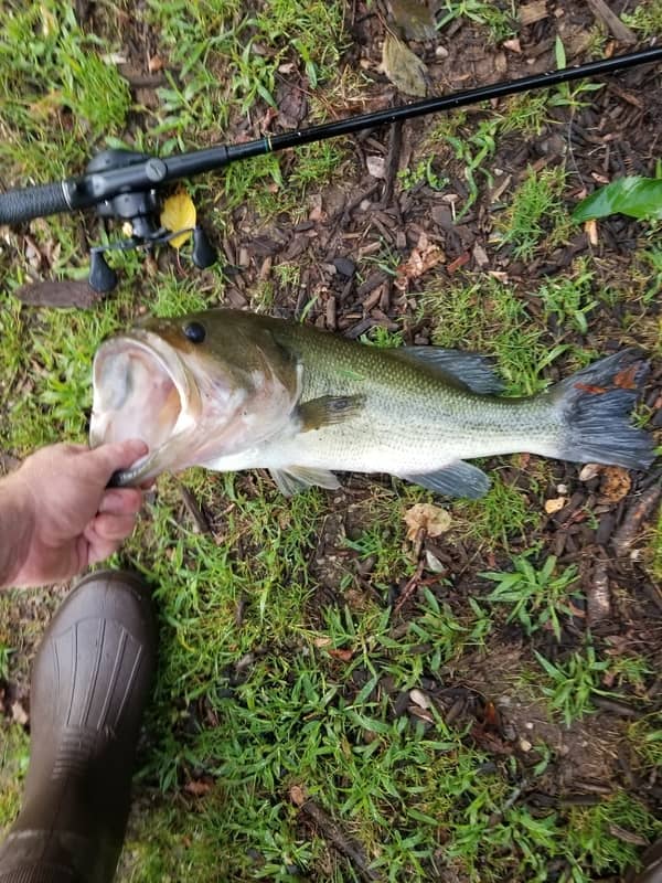 Fishing Opportunities
