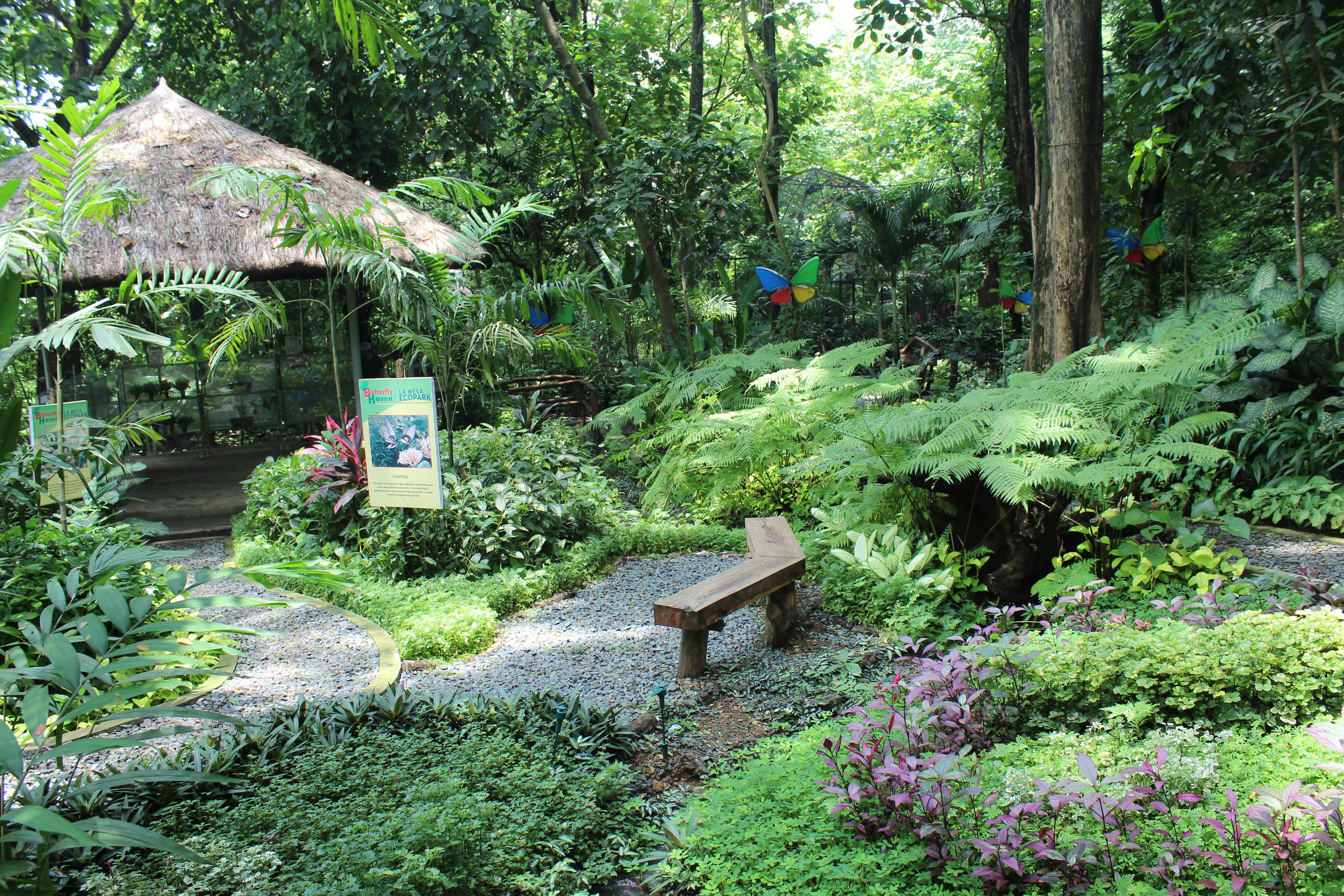 Biodiversity Spotting