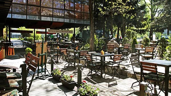 Cafe Culture