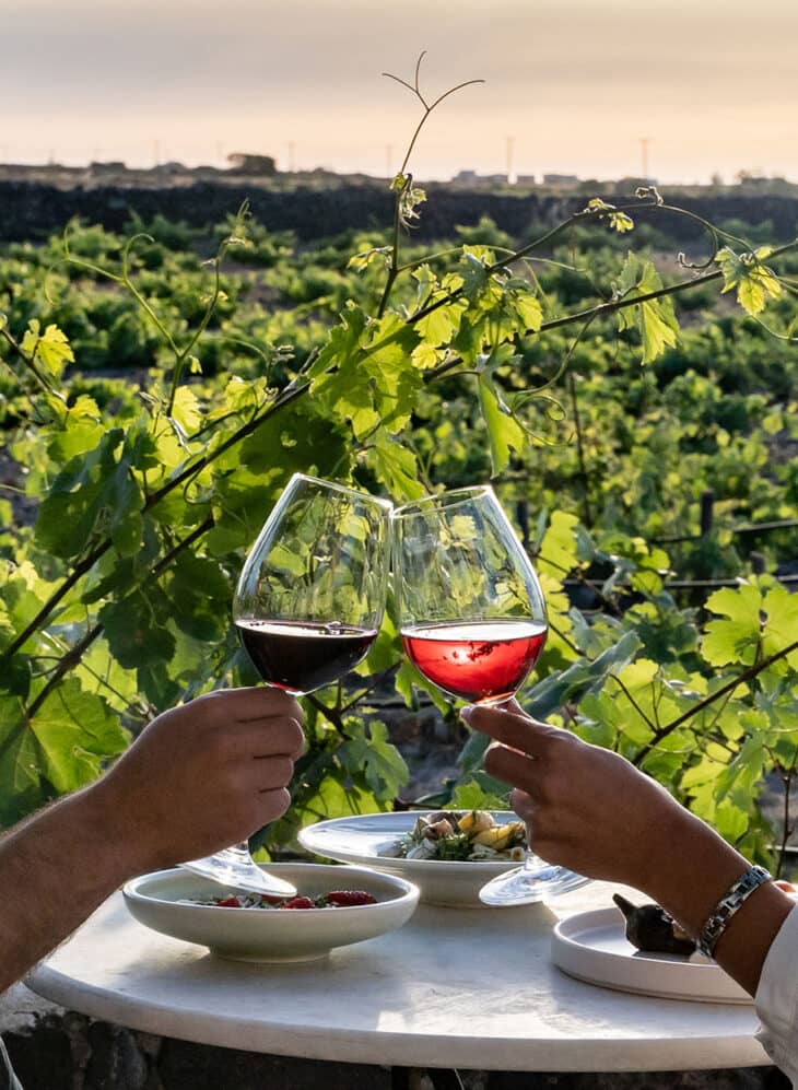 Wine and Food Pairing