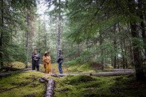 Forest Walk & Land Stewardship