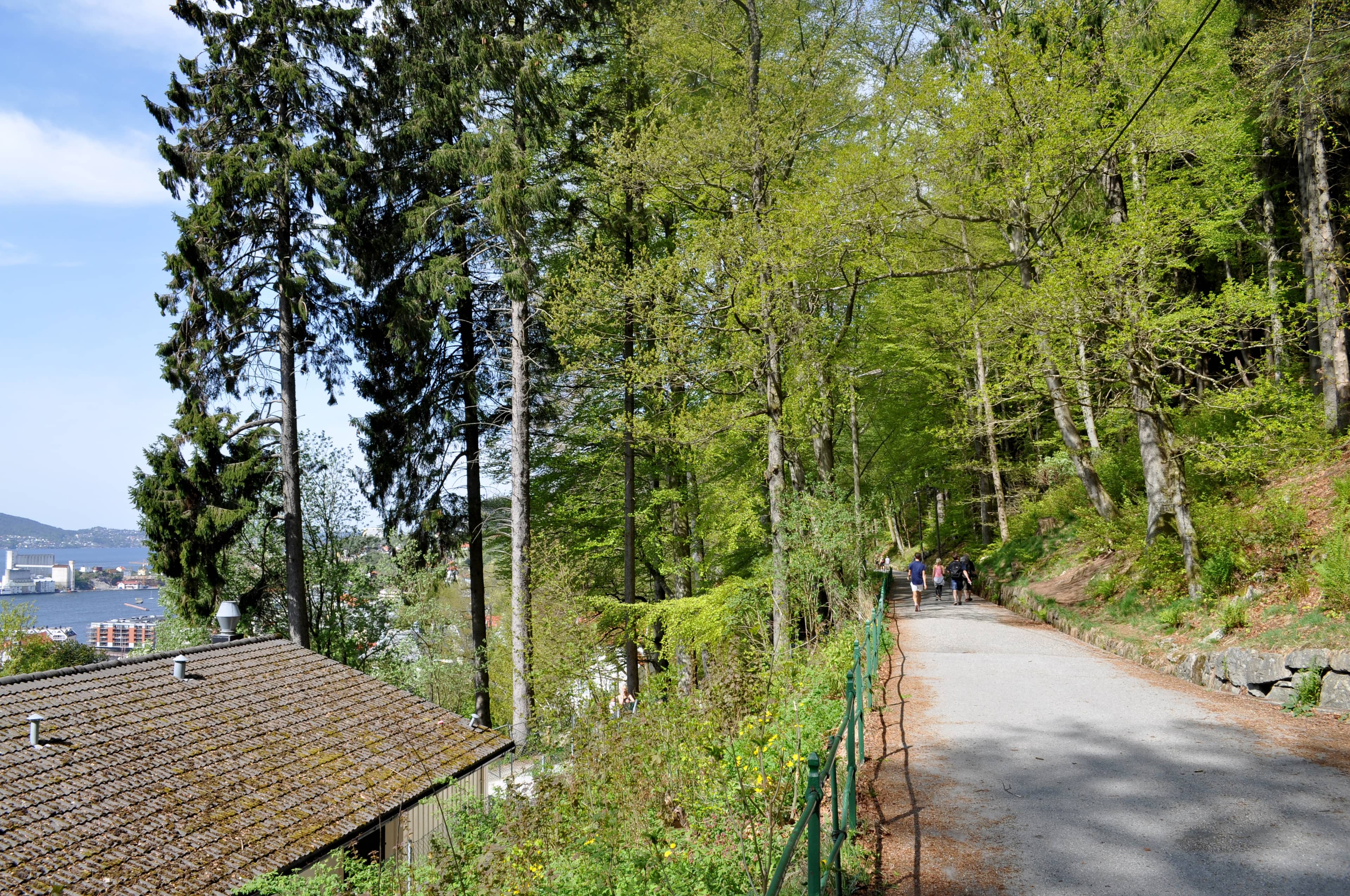 The Scenic Ascent