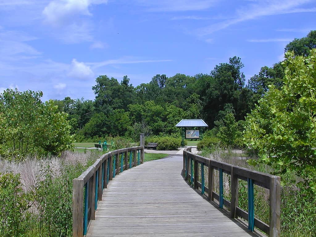 Green Bridge