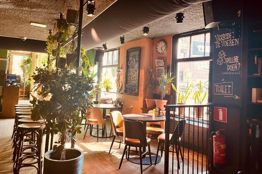 Cozy Ambiance