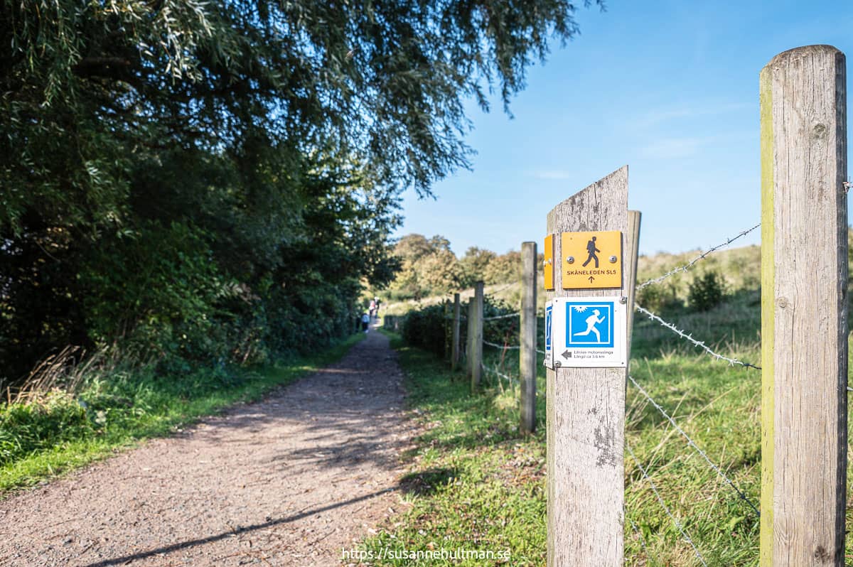 Scenic Hiking Paths