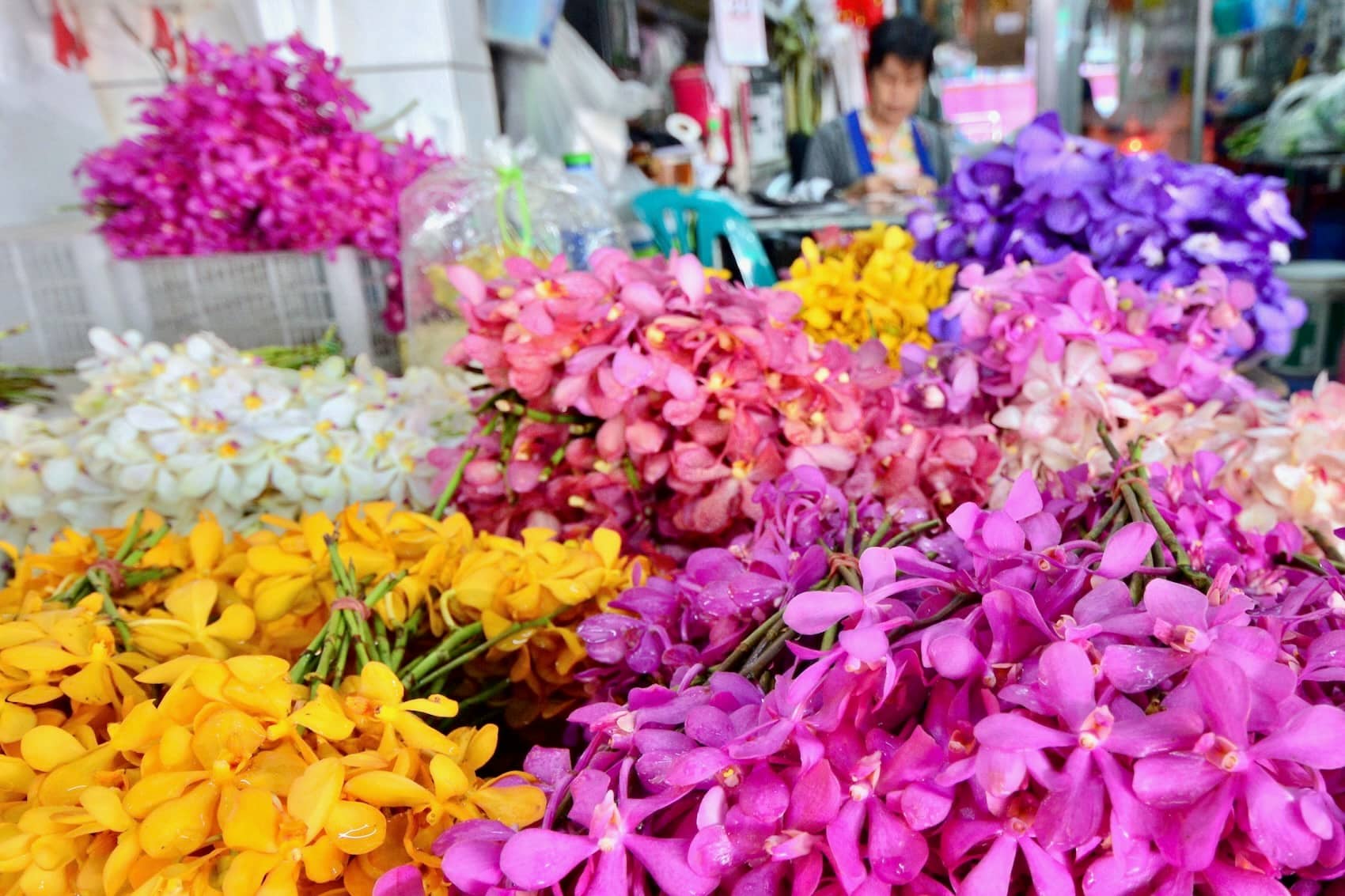 Exotic Blooms