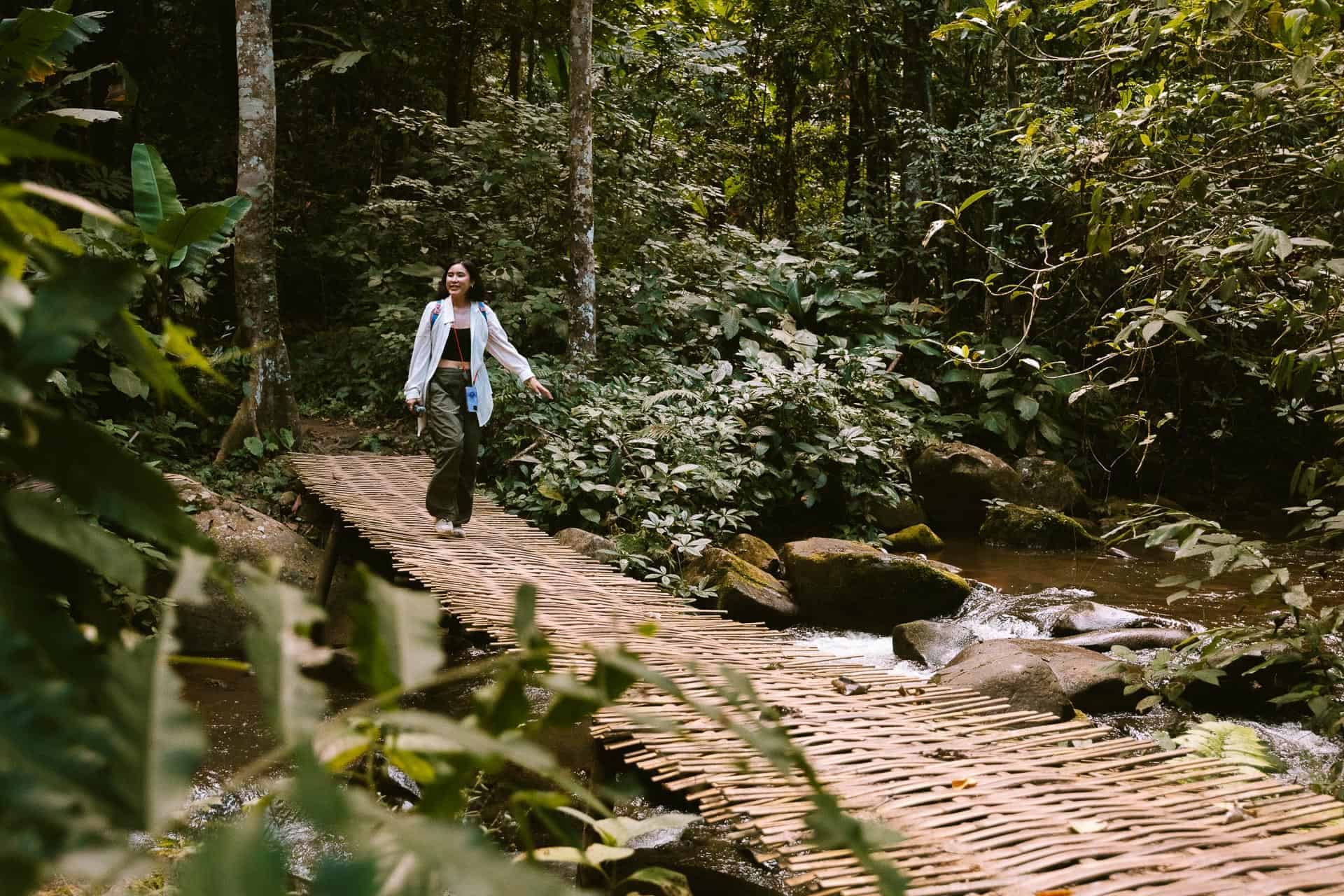 Scenic Bamboo Bridge Trail